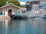 Labor Day Weekend, Boats Burn at Peck’s Marina