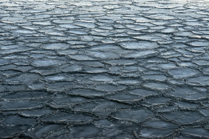 Chris Murray provides a unique photo of ice forming 