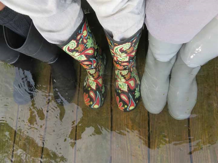 The Year of the Boots, which are hard to find in the North Country.