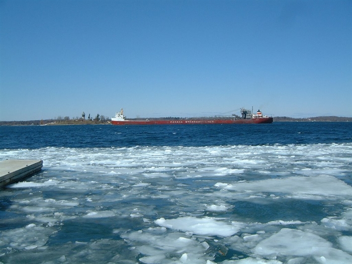 Sue Marsh sends this 2011 Spring photo.  The ships return at the end of March