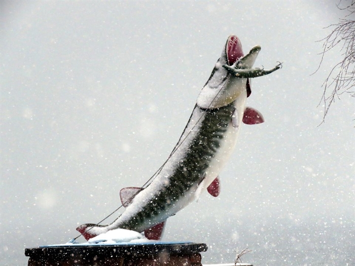  Frink Park's Muskie in the snow. Photo by Dennis McCarthy