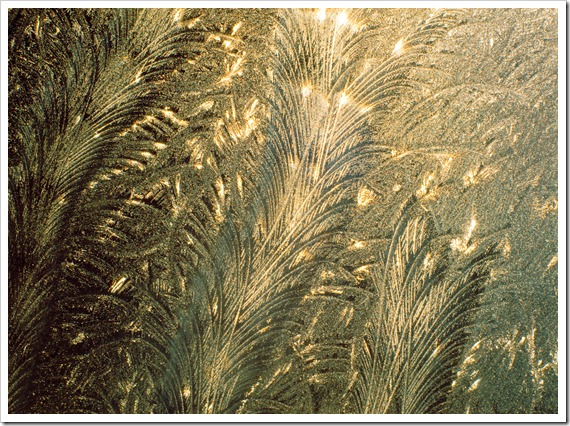 Sunrise at Thirty Below © Vici Zaremba, 2010 Sunrise at Thirty Below © Vici Zaremba, 2010