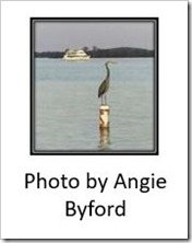 Angie Byford Heron