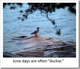Duckie days June 18