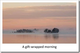 Gift_Wrapped_Morning