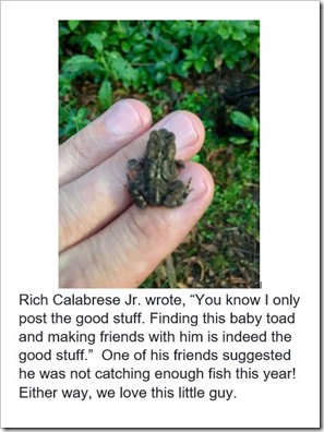 Rich Calabrese Jr toad