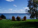 Howe Island Vines