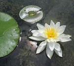 Photography by Patty Mondore