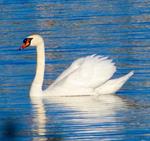 TI Life Happenings in May 2016