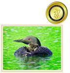 7th Annual Photo Contest