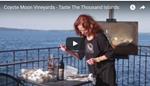 Taste the 1000 Islands… Through Videos!