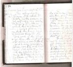 May Dewey's Diary, Part VI, January 1889