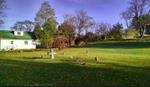 Oak Point’s Cemetery Project