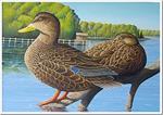 Len Rusin, Wildlife Painter