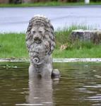 TI Life Happenings in May ‘17