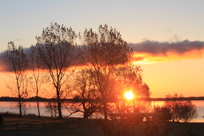 Lynda Crothers from Wolfe Island.  Morning October 29, 2013
