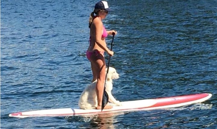Jack Butts captures Rita Dallas paddle boarding with Mac — at Sunnyside Island.