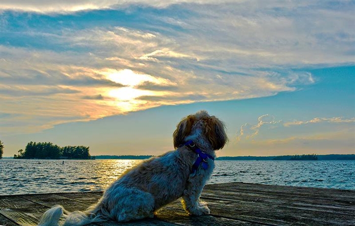 Riverview Photography's Tim Kocher says Duke loves the river too. 