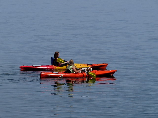 Kayakers are out and enjoying every minute.  Photo by Dennis McCarthy