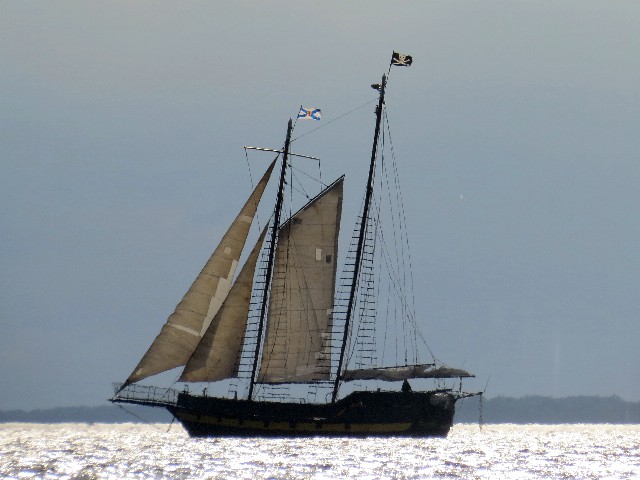 Tall Ship Liana’s Ransom off Wolfe Island by Dennis McCarthy
