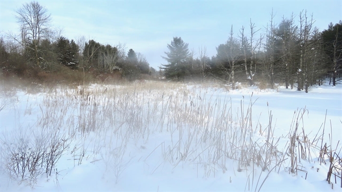 Doug McLellan's winter scene