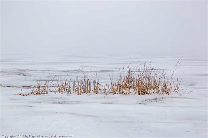 TI River Views,Roger Monahan Photograph, A litte fog! March 10, 2016