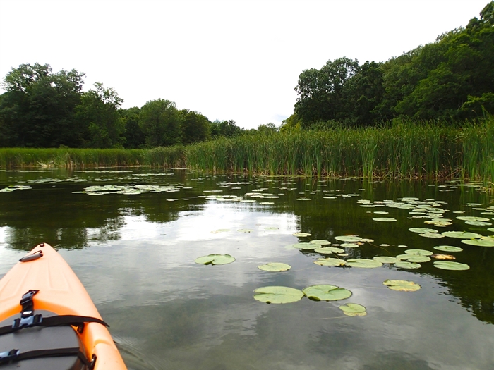 A perfect kayak passage in the marsh. Photo by John Street.