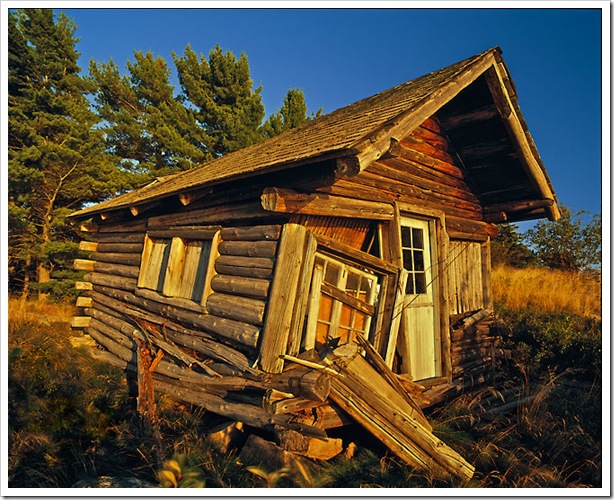 Island Cabin © Andrew King