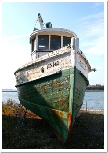 Anna Ashore-Cape Vincent