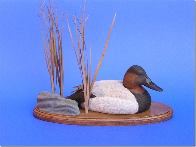 Bob Orr Canvasback