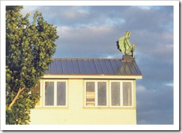 Top Knot On Roof, by Will Salisbury