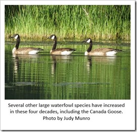 Canada Goose Munro