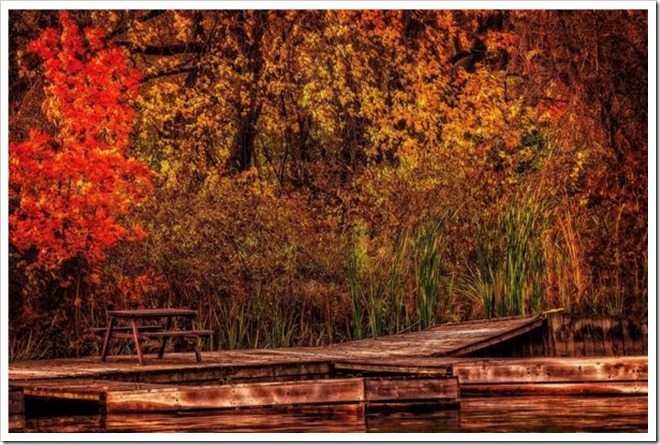 Dock and land