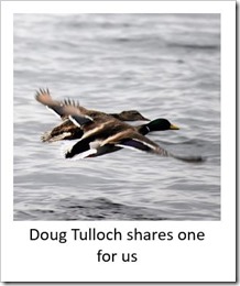 Doug Tulloch July 2018 2