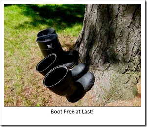 Free 1 boots