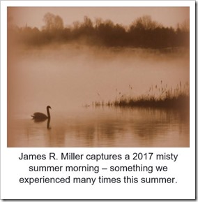 James R Miller misty morning