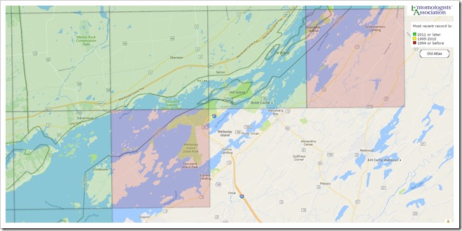 Large TI Butterfly map