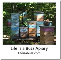 Life is a Buzz