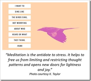 Meditation Bird