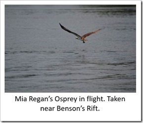 Osprey Mia Regan
