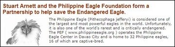 Phillipine Eagle