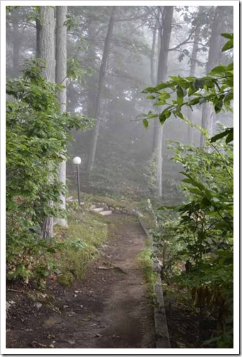 R_EARTHEN PATH BECKONS