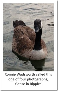 Ronnie Wadsworth Goose