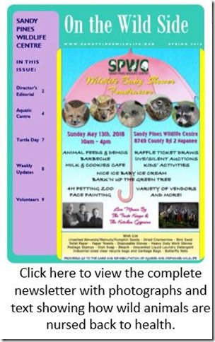 SPWC Spring Newsletter PDF