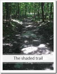 Shaded Trail