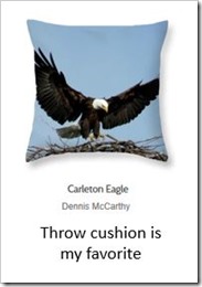 Throw cushion McCarthy