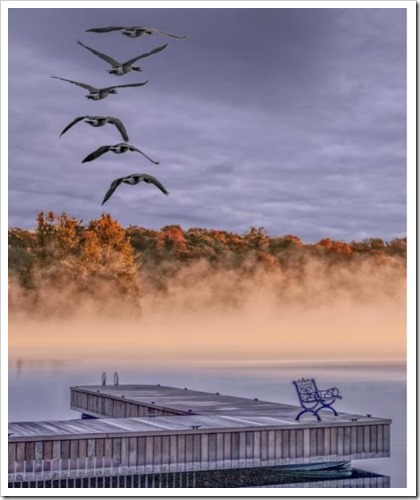 Water Sky Islands Wildlife