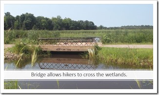 Wetlands Bridge