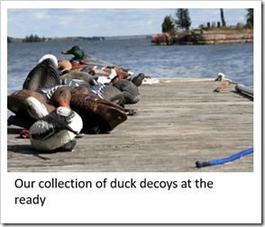 duck decoys