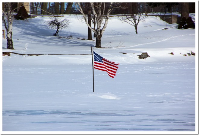 frozen flag